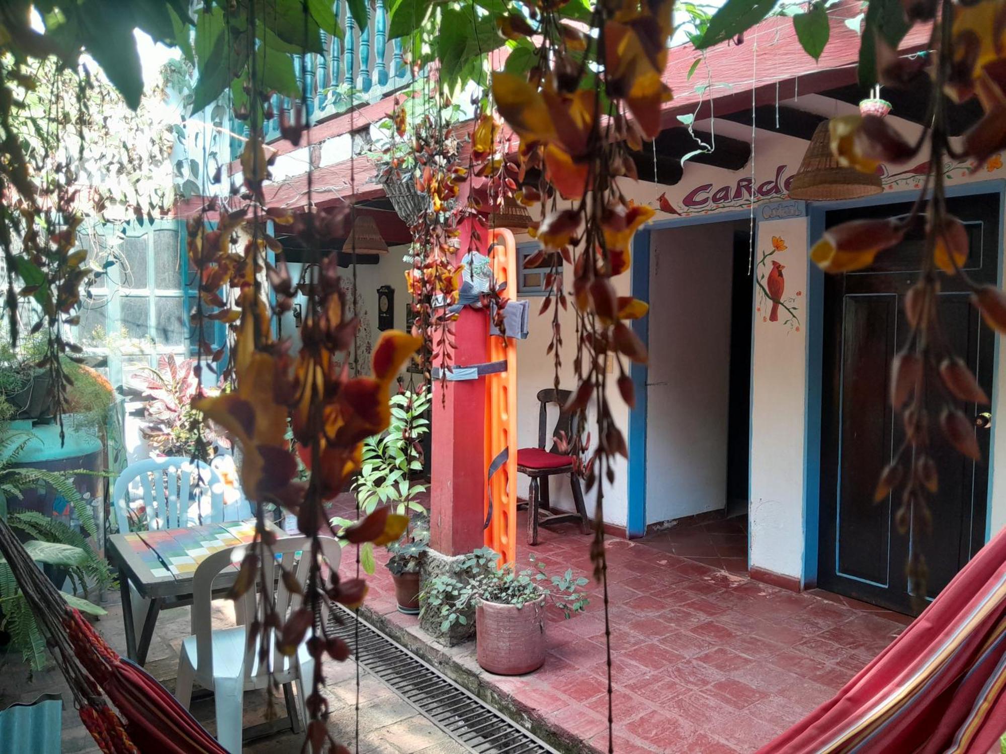 Beija Flor Hostel บียาเดเลย์บา ภายนอก รูปภาพ